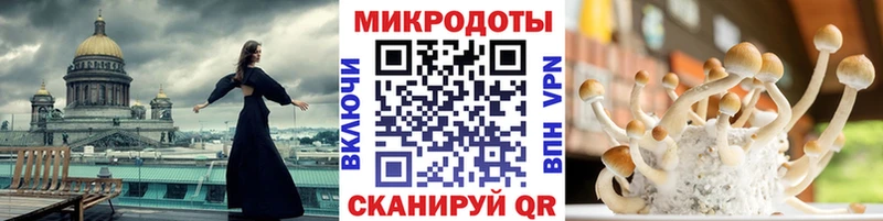 Псилоцибиновые грибы Magic Shrooms  Волгоград 