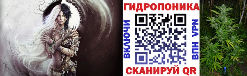 Бошки марихуана LSD WEED  KRAKEN рабочий сайт  Волгоград  магазин   
